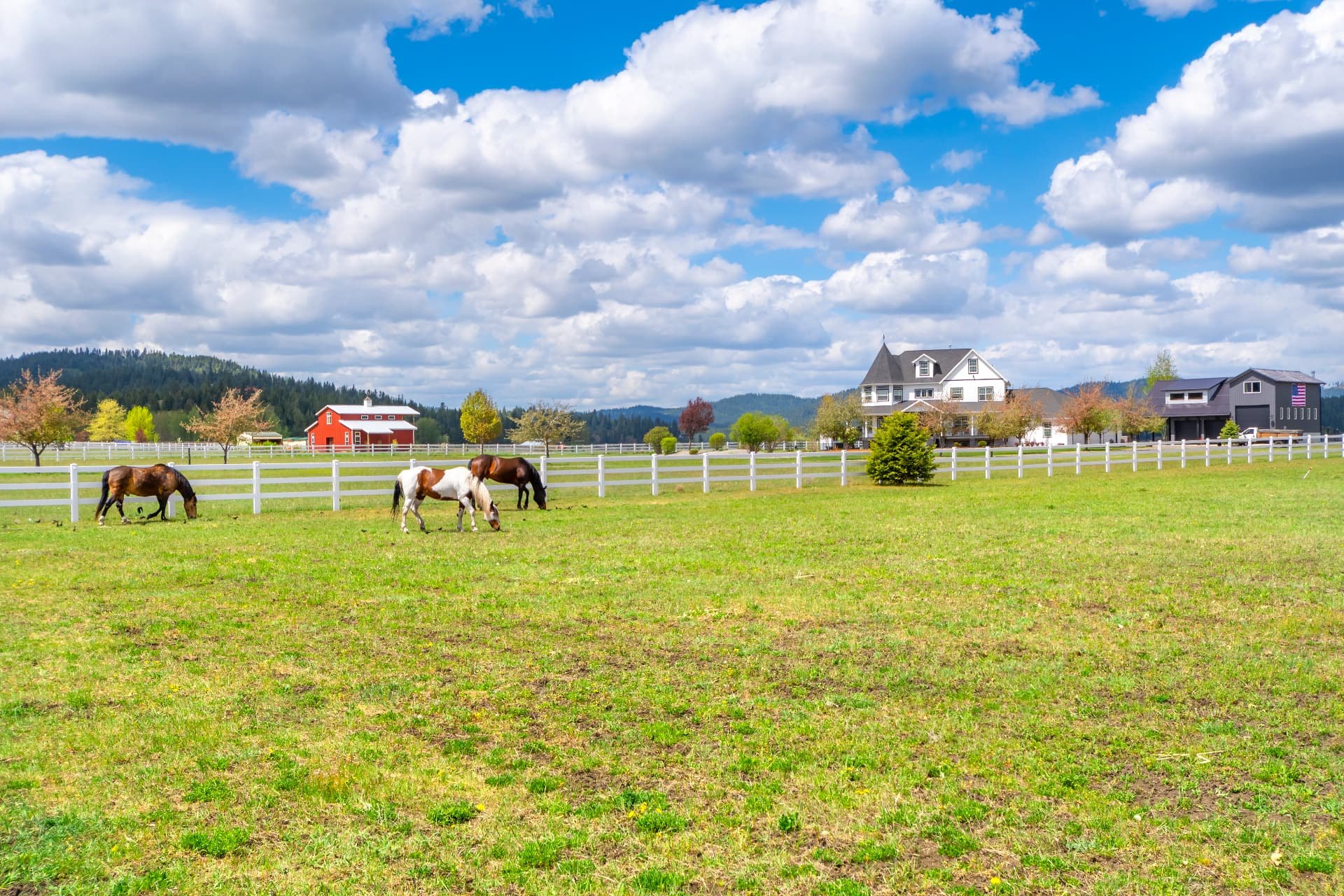 Horse property near West Richland, Washington with white fencing, pasture and a large home under open sky